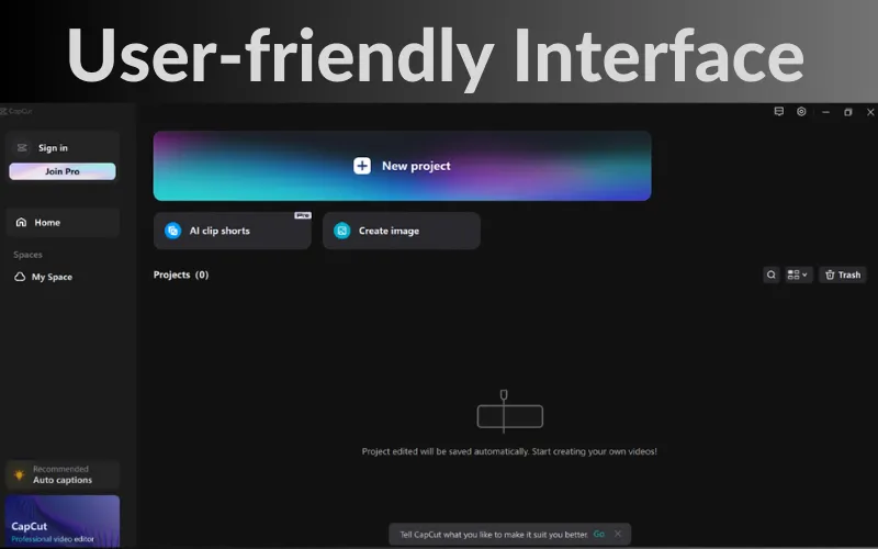 User-friendly Interface