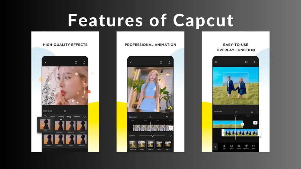 Features of Capcut with image