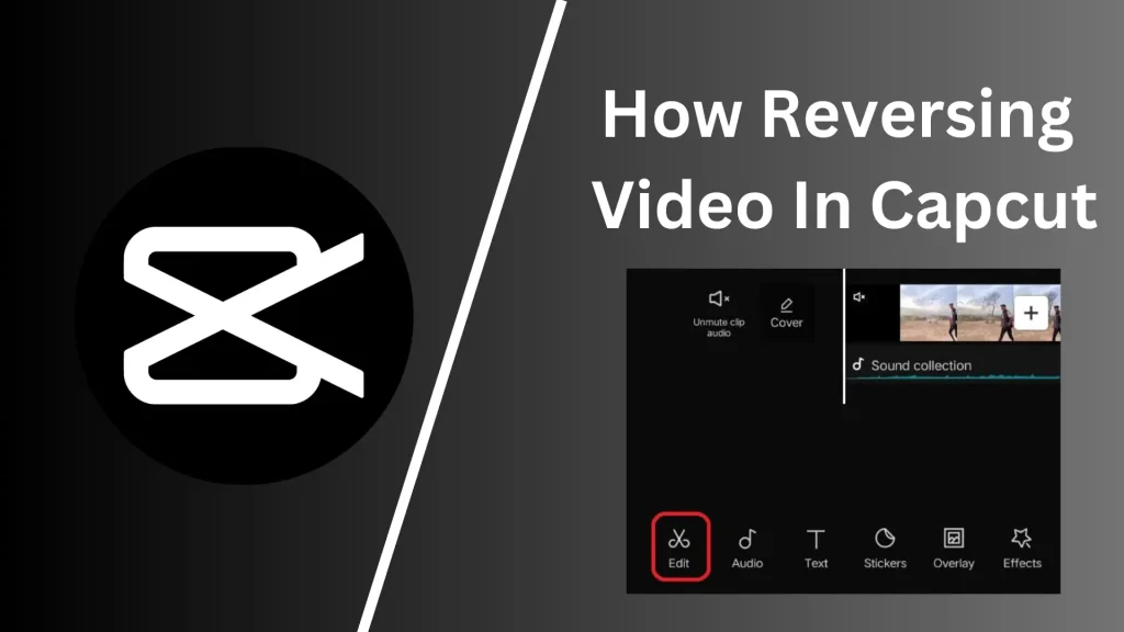 How to reverse video in Capcut?