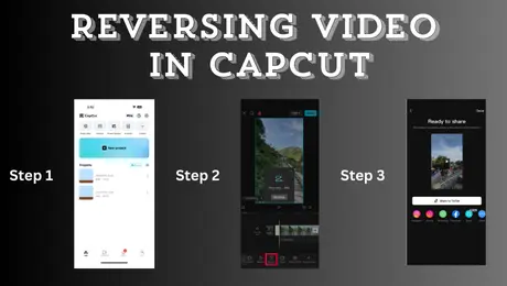 Revese video in capcut